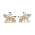 Bild in Galerie-Betrachter laden, D Flawless Diamond Earrings set in 18K Yellow Gold