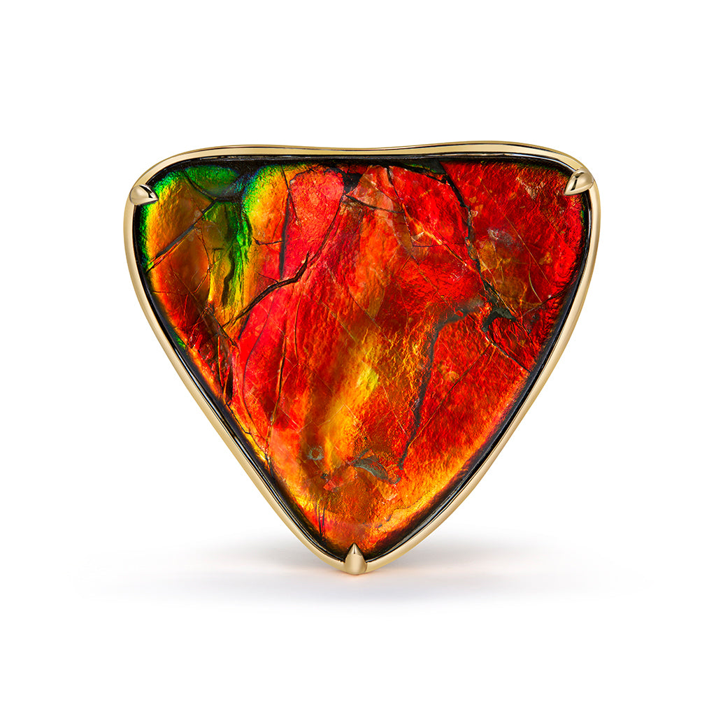 Canadian Solid Natural Ammonite Brooch with D Flawless Diamonds set in 18K Yellow Gold